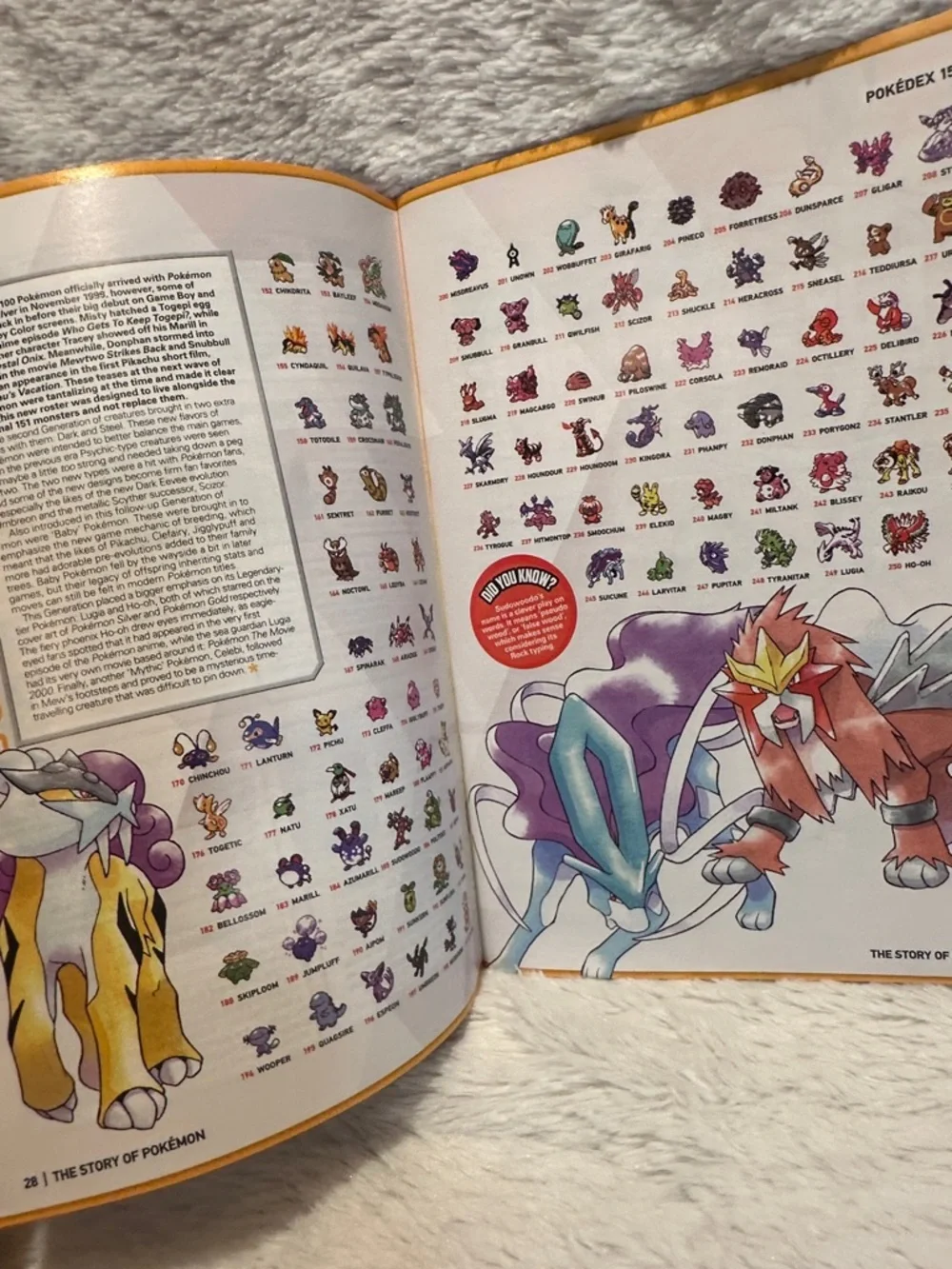 Small Magazine. M3. Presents: The Story of Pokémon - White Cover